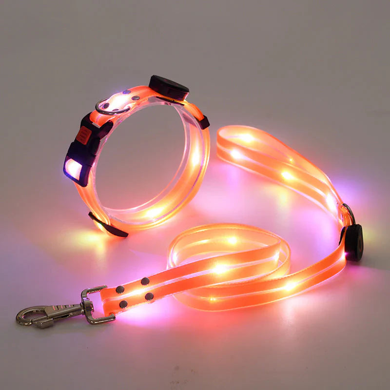 Robustes Nylon LED Hundehalsband & Leine (Orange) mit verstellbarer Größe, sorgt für maximale Sichtbarkeit und Sicherheit.
