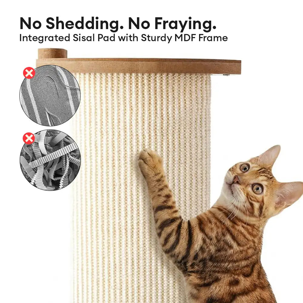 Katze kratzt genüsslich am Sisal-Kratzbaum, schont dabei die Sofapolsterung.