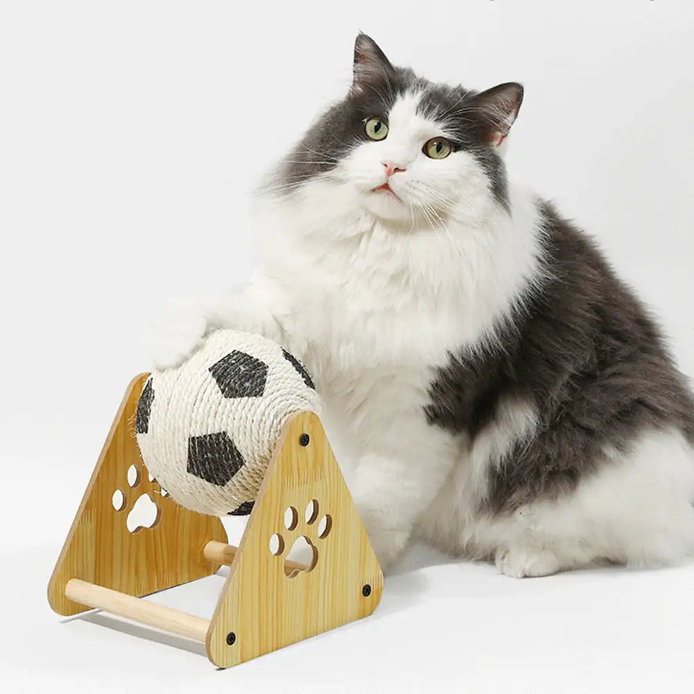 Sisal-Kratzball für Katzen, robustes Kugel-Spielzeug aus Naturfasern. Ideal für Krallenpflege & Spielspaß.