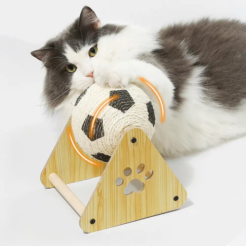 Katze spielt begeistert mit dem Sisal-Kratzball. Fördert Aktivität, schützt Möbel & bietet gesunden Kratzspaß.