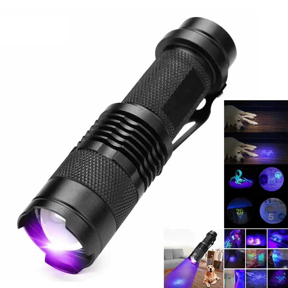 SK68 Schwarzlicht-Taschenlampe im Einsatz, entlarvt Haustierflecken auf einem Sofa. Effektives Reinigungstool.