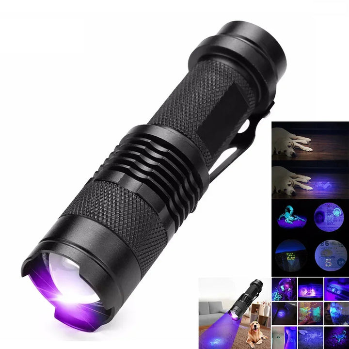 SK68 Schwarzlicht-Taschenlampe im Einsatz, entlarvt Haustierflecken auf einem Sofa. Effektives Reinigungstool.