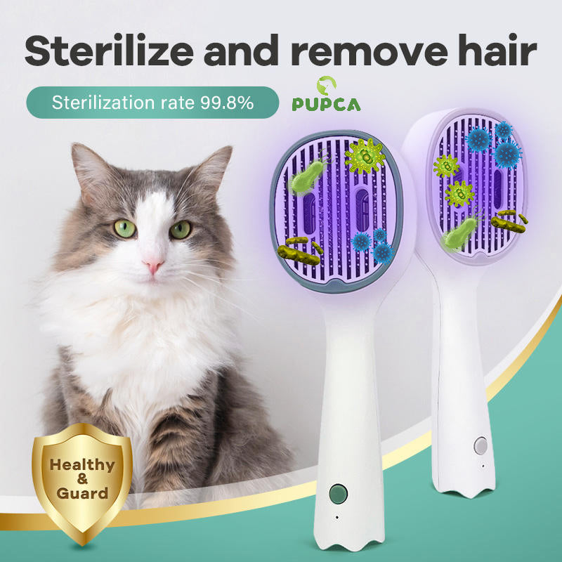 Sanfte Fellpflege mit UV-Katzenbürste. Entfernt lose Haare & Schmutz, bietet Zeckenschutz.