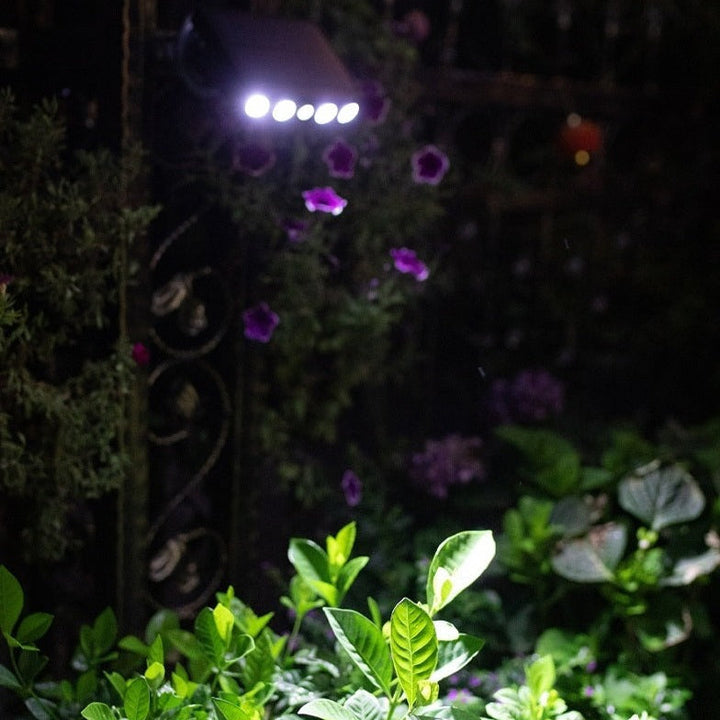 Smarte Solar-LED-Außenleuchte mit Bewegungsmelder am Hauseingang für automatische, sichere Beleuchtung.