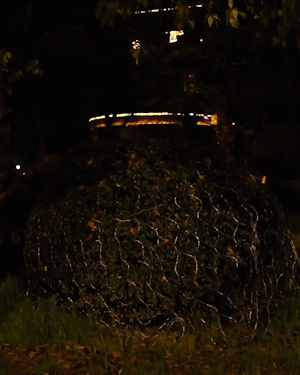 Dekoratives Solar LED Lichtnetz schafft romantisches Ambiente auf der Terrasse. Perfekte Outdoor Deko.