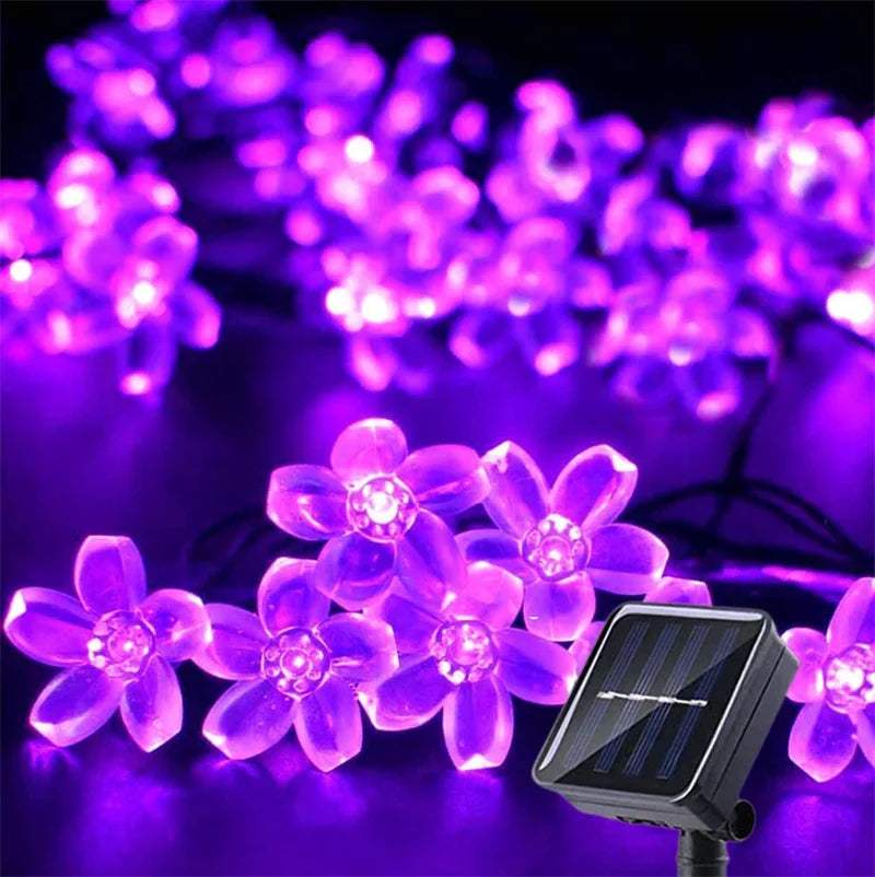 Lange Solar Lichterkette stimmungsvoll in Baum oder Busch drapiert. Magisches Licht für Outdoor Deko.