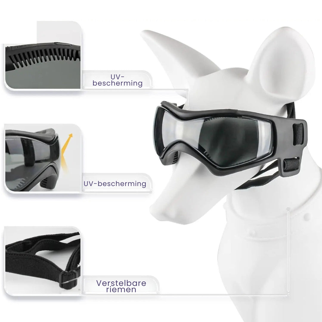 Glücklicher Hund mit passendem Hundehelm und UV-Schutzbrille, bereit für die Motorradtour. Tierhelm für Sicherheit.