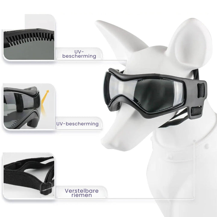 Glücklicher Hund mit passendem Hundehelm und UV-Schutzbrille, bereit für die Motorradtour. Tierhelm für Sicherheit.