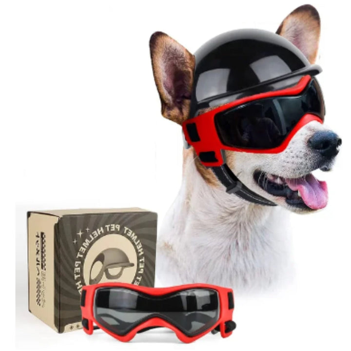 Ergonomischer Hundehelm und bequeme Hundebrille, speziell für Motorradtouren entwickelt. Hochwertiges Hundezubehör.