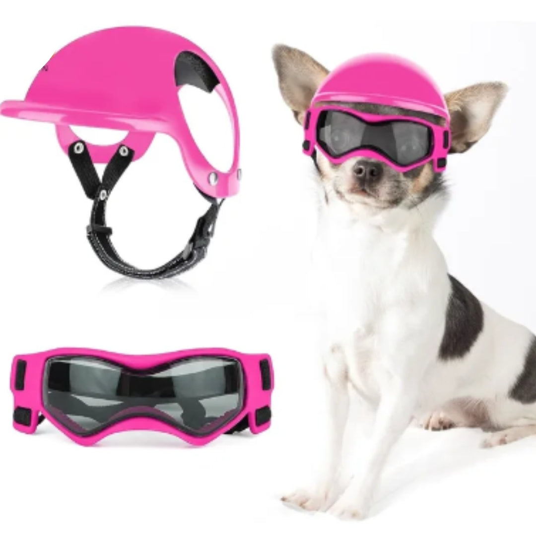 Abenteuerlustiger Hund mit sicherem Hundehelm und Schutzbrille für unvergessliche Motorradfahrten. Reise Zubehör Hund.
