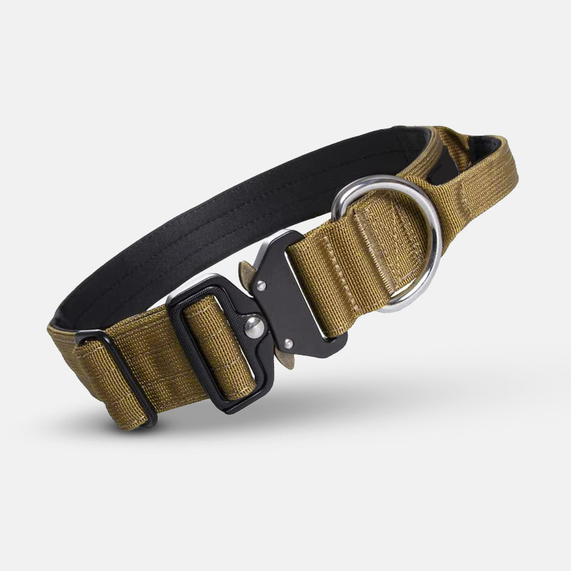 Hundehalsband taktisch, ideal für robuste Hunde. Mit PowerGrip Griff für maximale Kontrolle bei Training & Spaziergang.