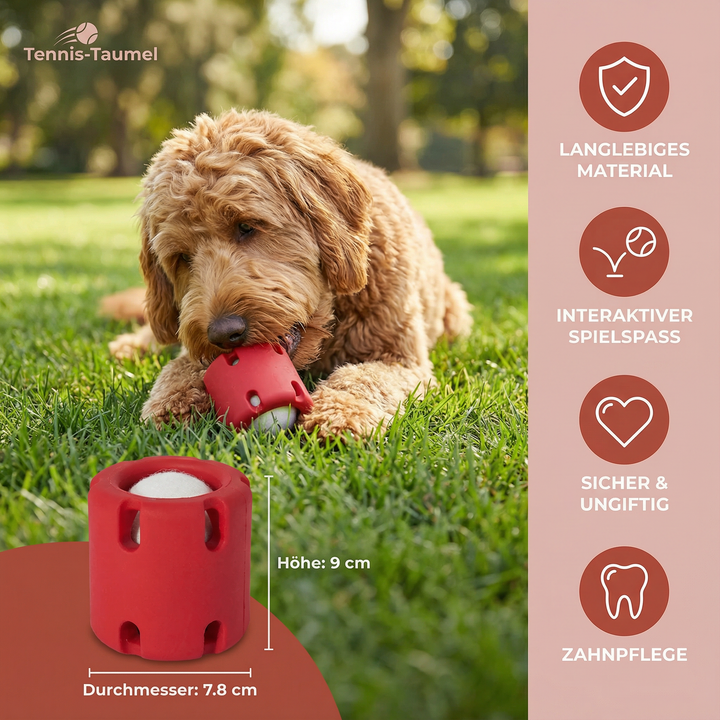 Aktiver Hund spielt mit farbigem Tennis-Taumel Kauspielzeug, endloser Spielspaß.