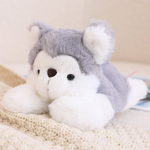 Sibirischer Husky
