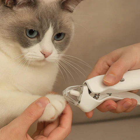 2-in-1 USB-aufladbarer Krallenschneider & Schleifer mit LED-Licht für Hunde & Katzen. Präzise Tierpflege.