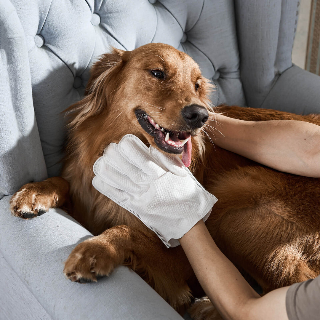 Tierpflege-Handschuh-Reinigungstücher für Hunde & Katzen. Schnelle, sanfte Fellpflege unterwegs. Hypoallergener Geruchsentferner.