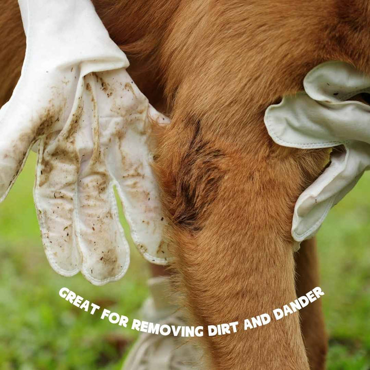 Hypoallergene Tierpflege-Reinigungshandschuhe für Hunde & Katzen. Für schnelle Fellpflege & Hygiene, auch für unterwegs.