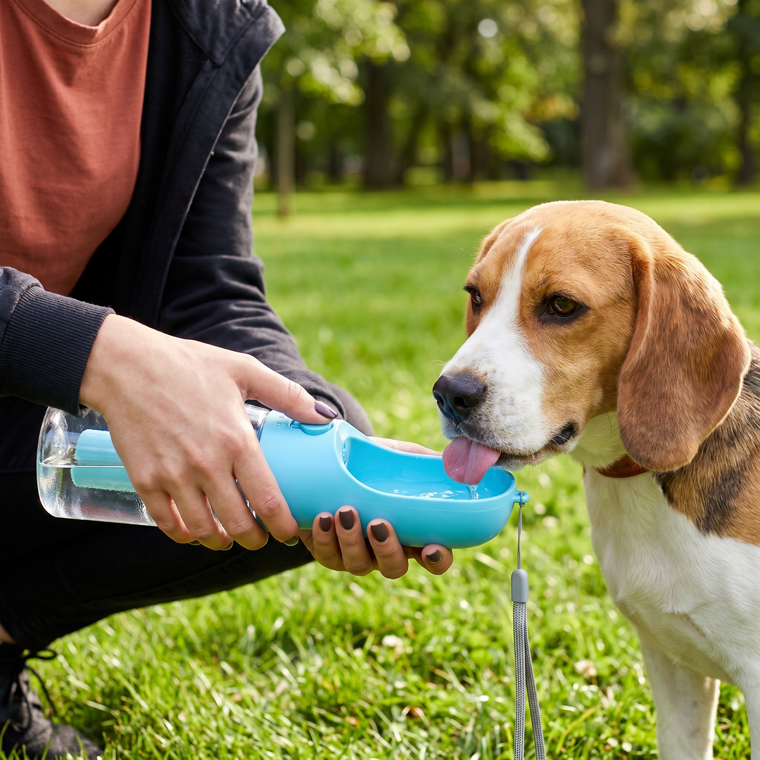 Tragbare 3-in-1 Hundewasserflasche mit Futterbehälter & Kotbeutelhalter für Spaziergänge & Reisen. Praktisches Hundezubehör.