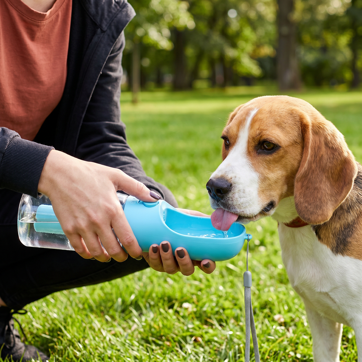 Tragbare 3-in-1 Hundewasserflasche mit Futterbehälter & Kotbeutelhalter für Spaziergänge & Reisen. Praktisches Hundezubehör.
