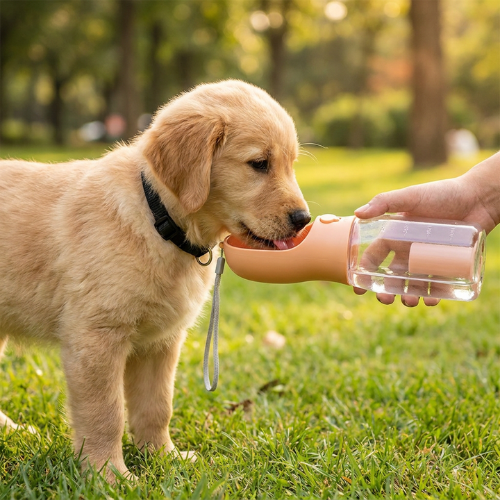 Outdoor-Hundezubehör: 3-in-1 Wasserflasche, Futterspender & Kotbeutelhalter. Must-have für aktive Hunde.