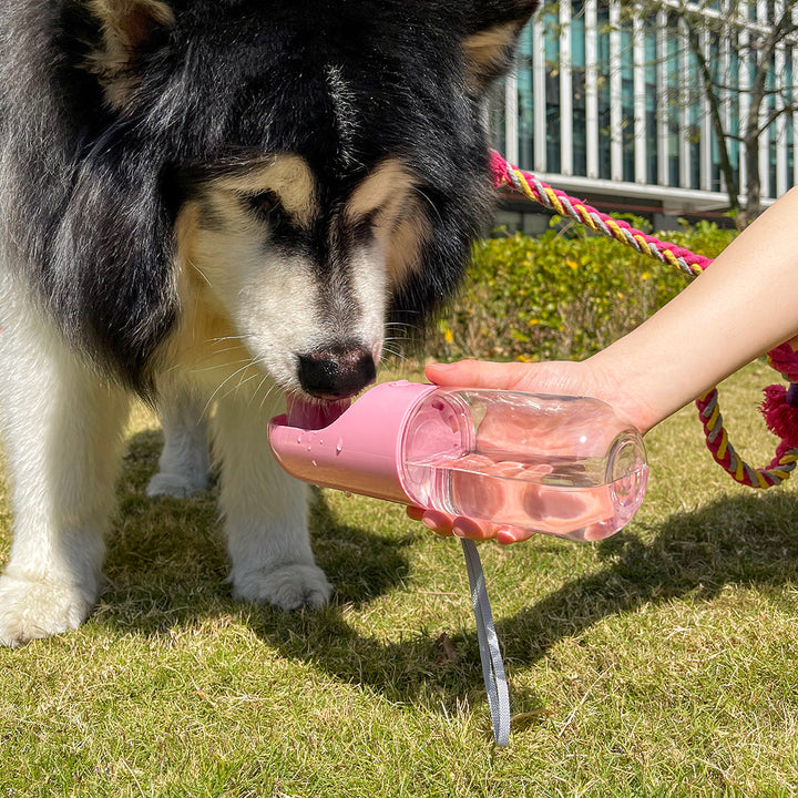 Tragbare Hunde Wasserflasche mit integriertem Trinknapf für Durst unterwegs. Ideal für Reisen & Spaziergänge.