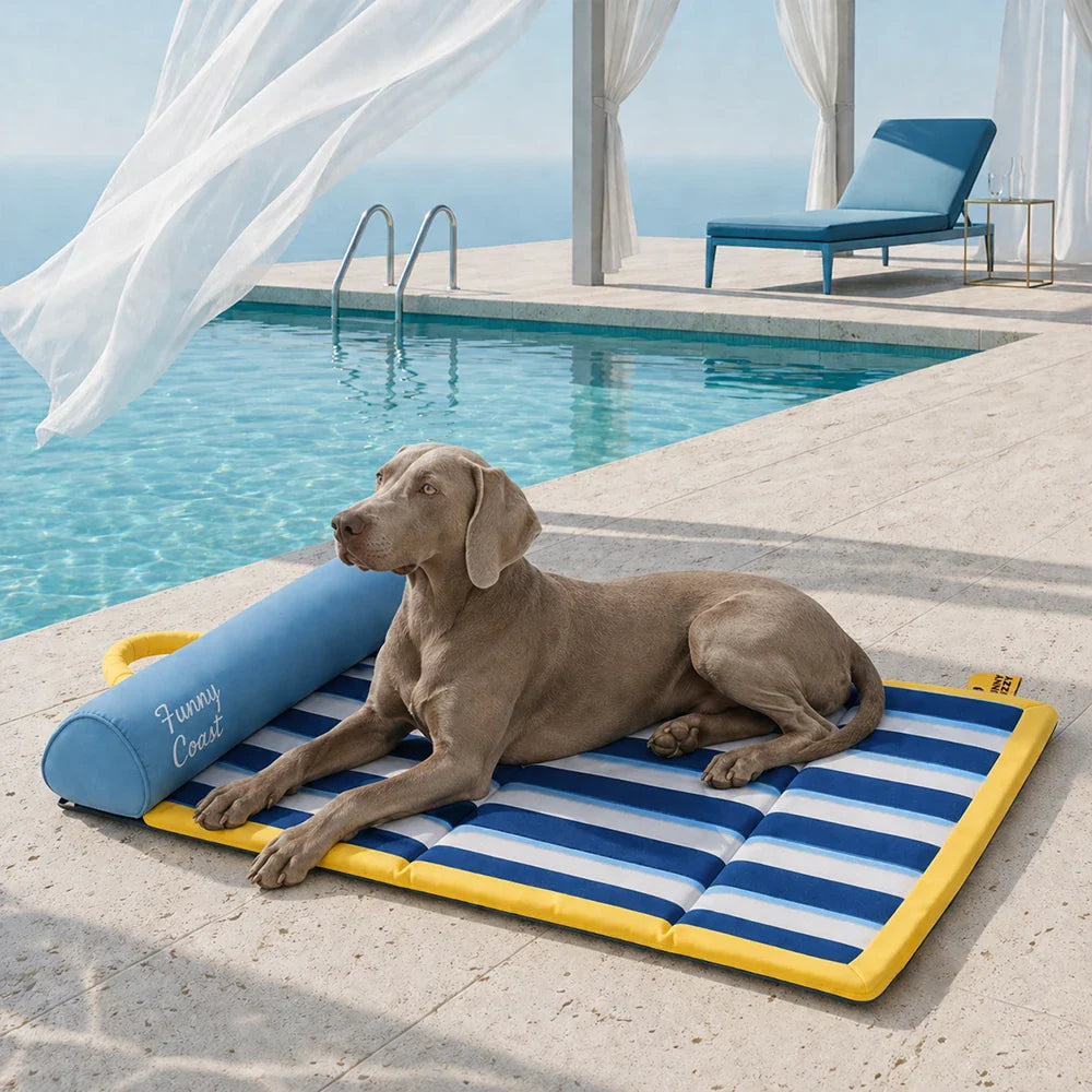 Tragbare Kühlmatte für Hunde, blau, bietet Haustieren sofortige Abkühlung im Sommer.
