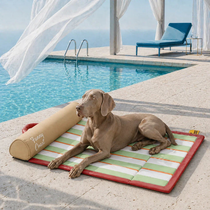 Kompakte Reise-Kühlmatte für Hunde, ermöglicht Haustieren komfortable Abkühlung jederzeit & überall.