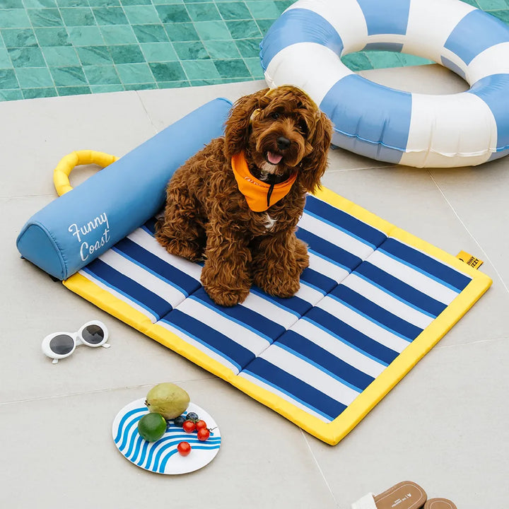Kühlende Hundematte für unterwegs, ideal für Reisen & Outdoor-Aktivitäten, hält Hunde kühl.
