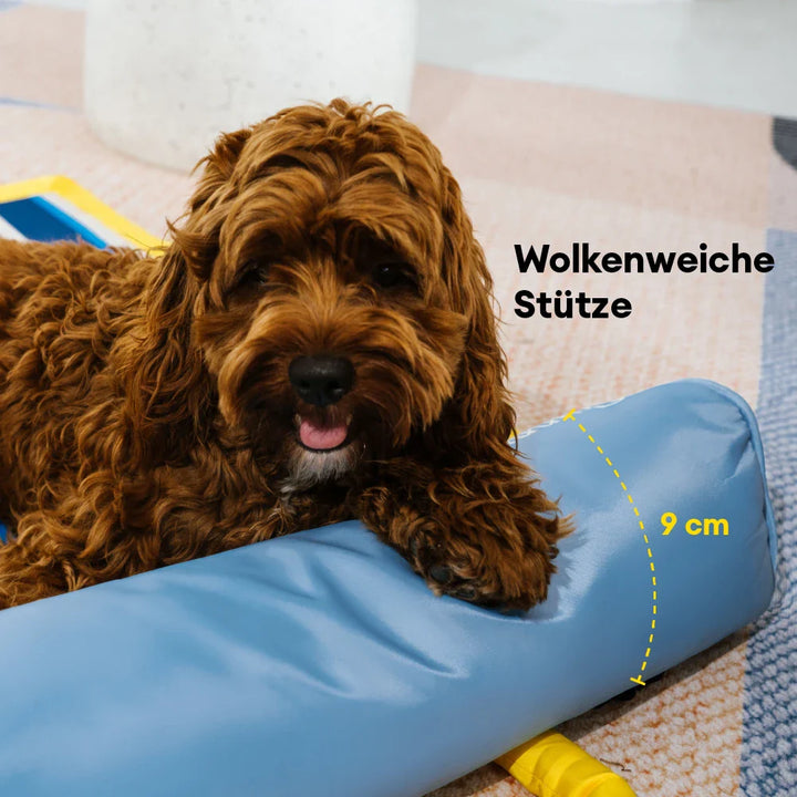 Ein Hund genießt Abkühlung auf einer Kühlmatte im Garten, perfekt für heiße Sommertage.