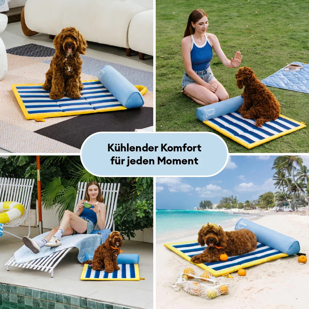 Welpe schläft friedlich auf einer kühlenden Hundematte, sorgt für entspannte Abkühlung im Haus.