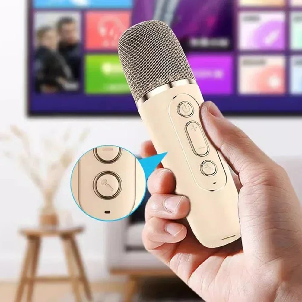 Bluetooth-Karaoke-Box mit Funkmikrofonen und farbigen RGB-Leuchten, perfekt für Kinder & Erwachsene.