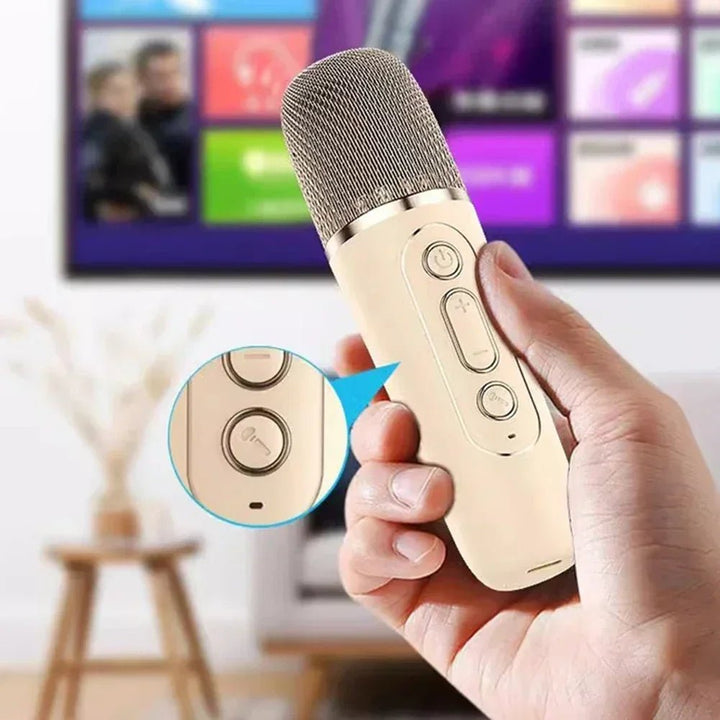 Bluetooth-Karaoke-Box mit Funkmikrofonen und farbigen RGB-Leuchten, perfekt für Kinder & Erwachsene.