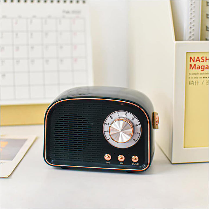 Hochwertiger Vintage Audio-Lautsprecher mit Bluetooth und FM-Radio; erleben Sie klaren Retro-Sound.