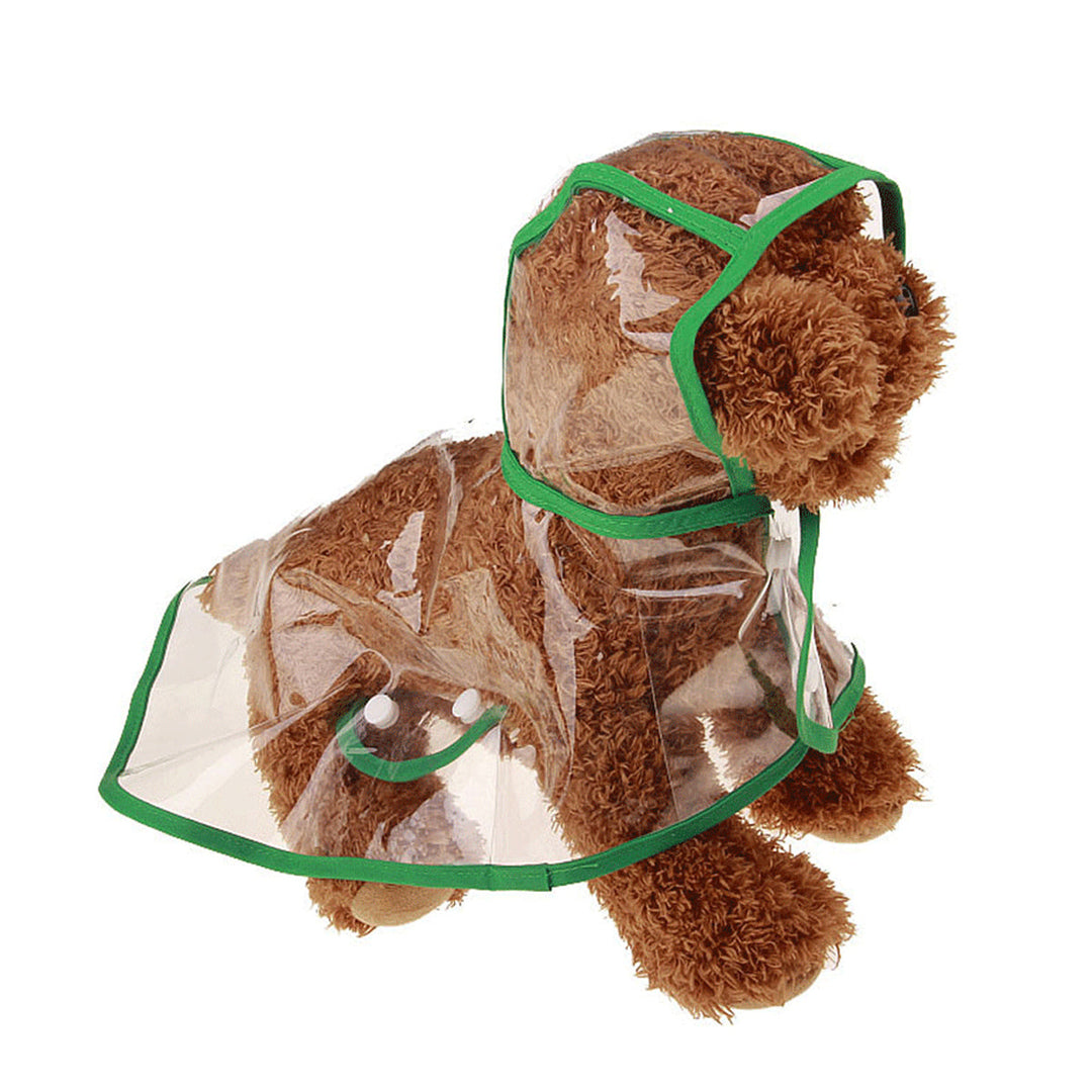 Transparente DryPaw Hunde-Regenjacke für trockenen Schutz bei Regenwetter & stilvolle Spaziergänge.