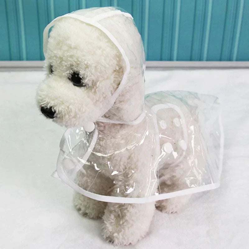 Großer Hund in transparenter DryPaw Regenjacke, bester Schutz vor Regen & Wind, komfortables Hundezubehör.