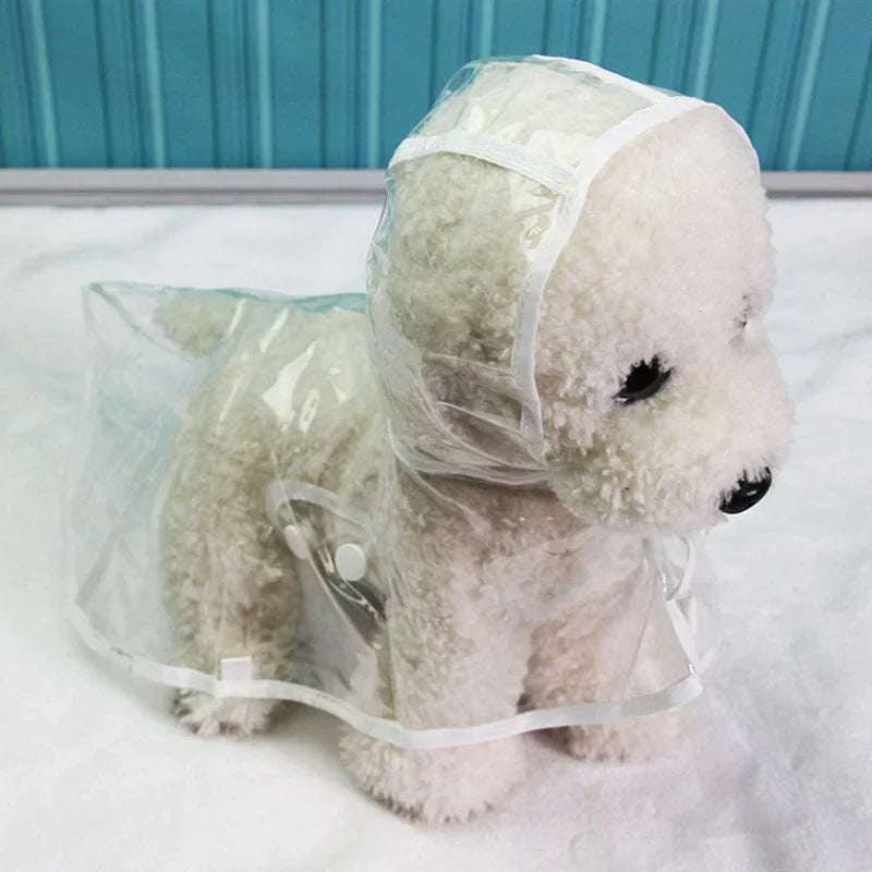 Modische transparente DryPaw Hunde-Regenjacke: stilvoll & trocken für jedes Wetter, ideale Hundebekleidung.