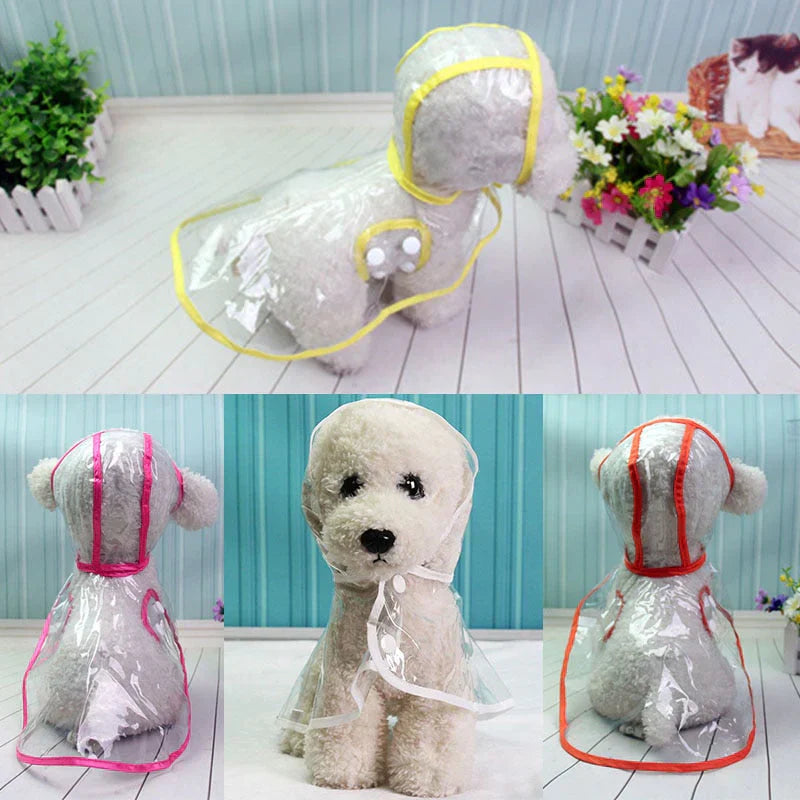 Transparentes DryPaw Hundezubehör: wasserdichte Regenjacke für Komfort & Schutz bei Outdoor-Aktivitäten.