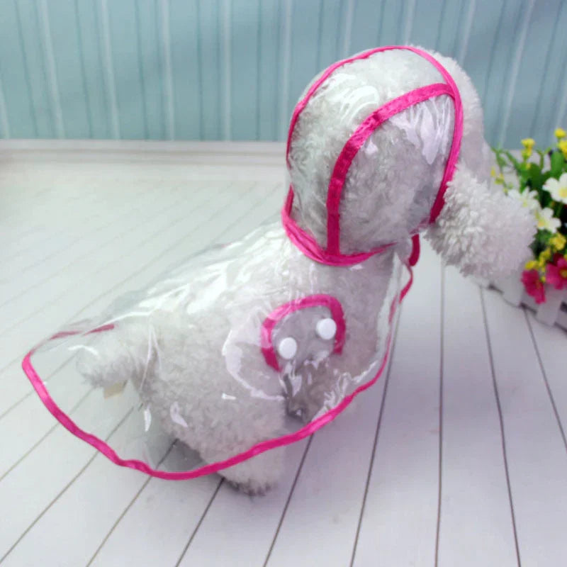 Frontansicht eines Hundes in transparenter DryPaw Hunderegenjacke, wind- & wasserdichte Hundebekleidung.