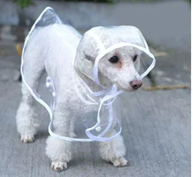 Welpen-Regenmantel DryPaw: transparente Hundebekleidung für trockene, stilvolle Spaziergänge bei jedem Wetter.