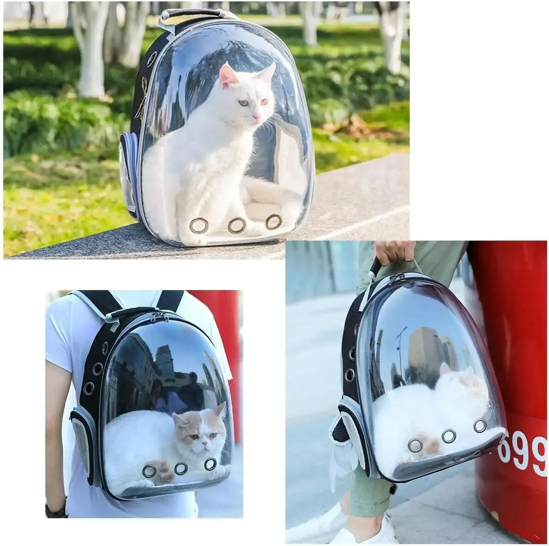 Panoramablick transparente Haustier Tragetasche; sicherer & belüfteter Rucksack für Katze & kleinen Hund unterwegs.