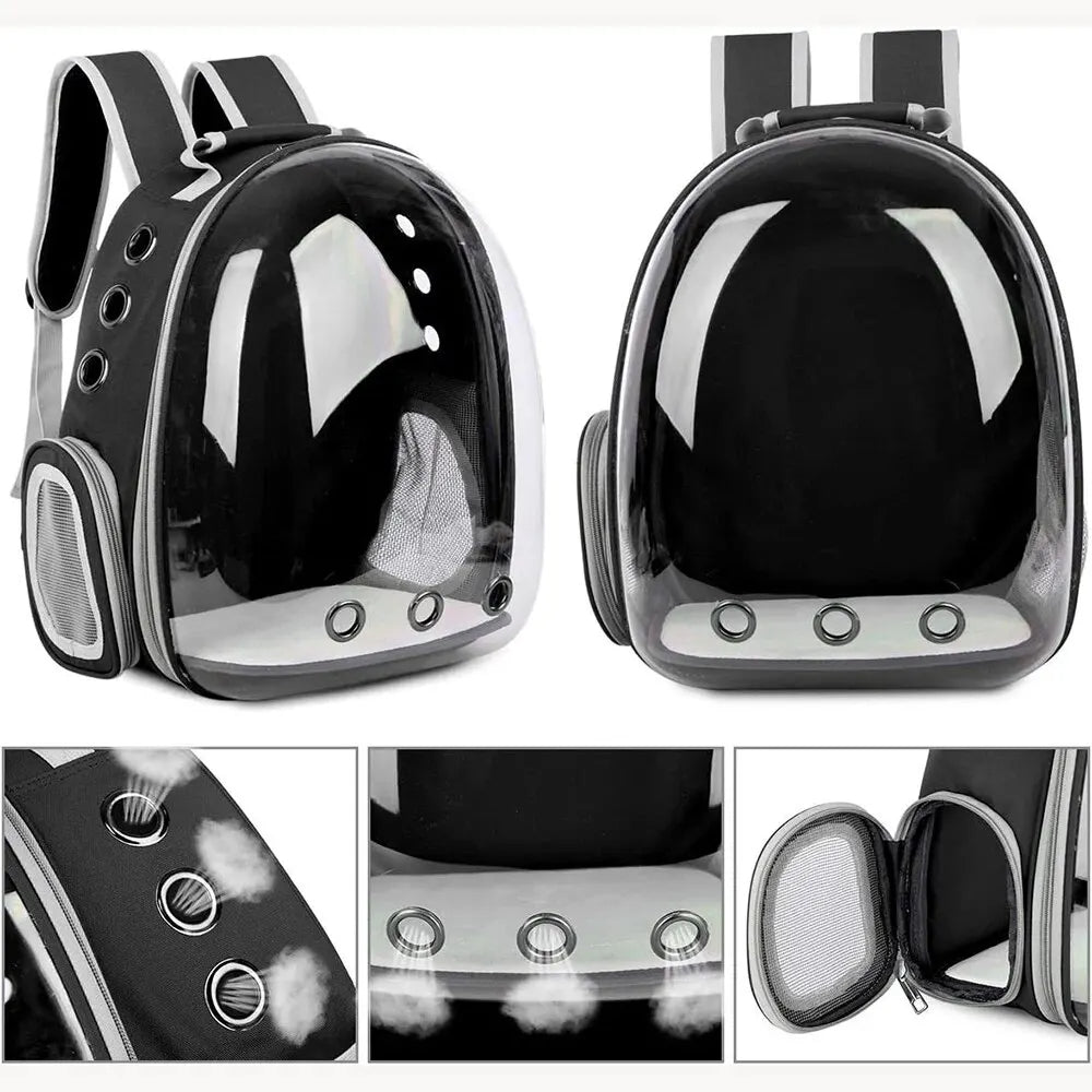 Bequemer transparenter Haustier Rucksack für Katzen & kleine Hunde; ideal für Reisen, Ausflüge & Tierarztbesuche.