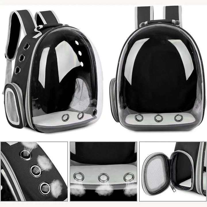 Bequemer transparenter Haustier Rucksack für Katzen & kleine Hunde; ideal für Reisen, Ausflüge & Tierarztbesuche.
