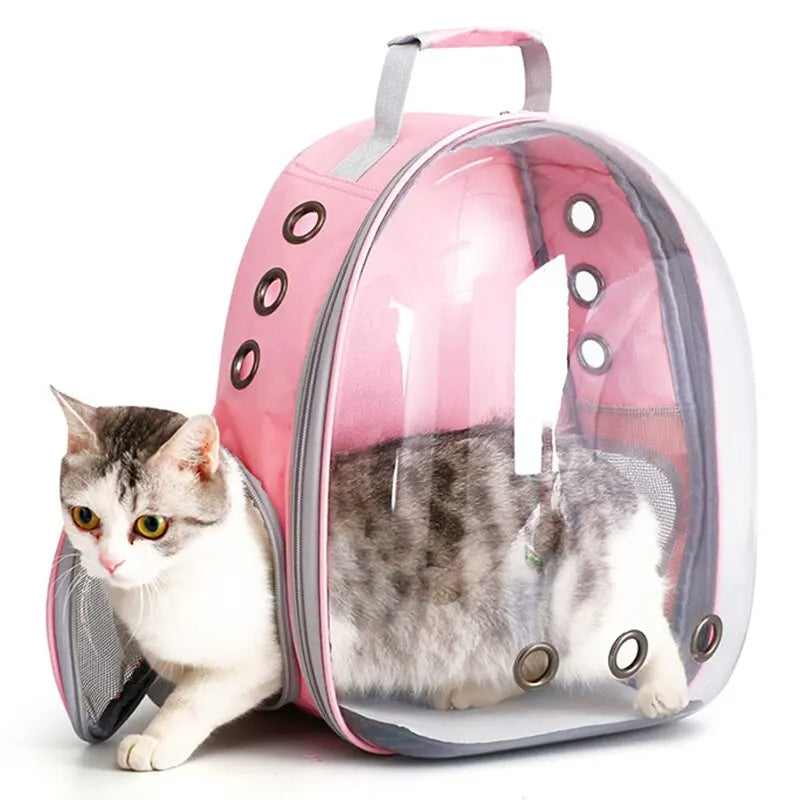 Transparente Haustier Tragetasche für Tierarzt & Ausflüge; komfortabler Rucksack für kleine Hunde & Katzen.