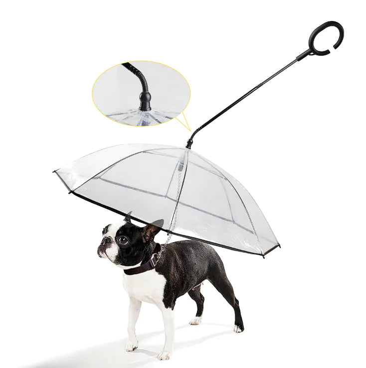 Transparenter Hunde Regenschirm ClearShield für kleine & mittelgroße Hunde, schützt vor Regen & Nässe.