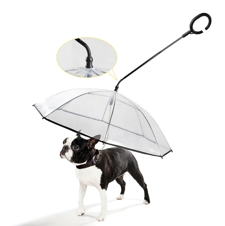 Transparenter Hunde Regenschirm ClearShield für kleine & mittelgroße Hunde, schützt vor Regen & Nässe.