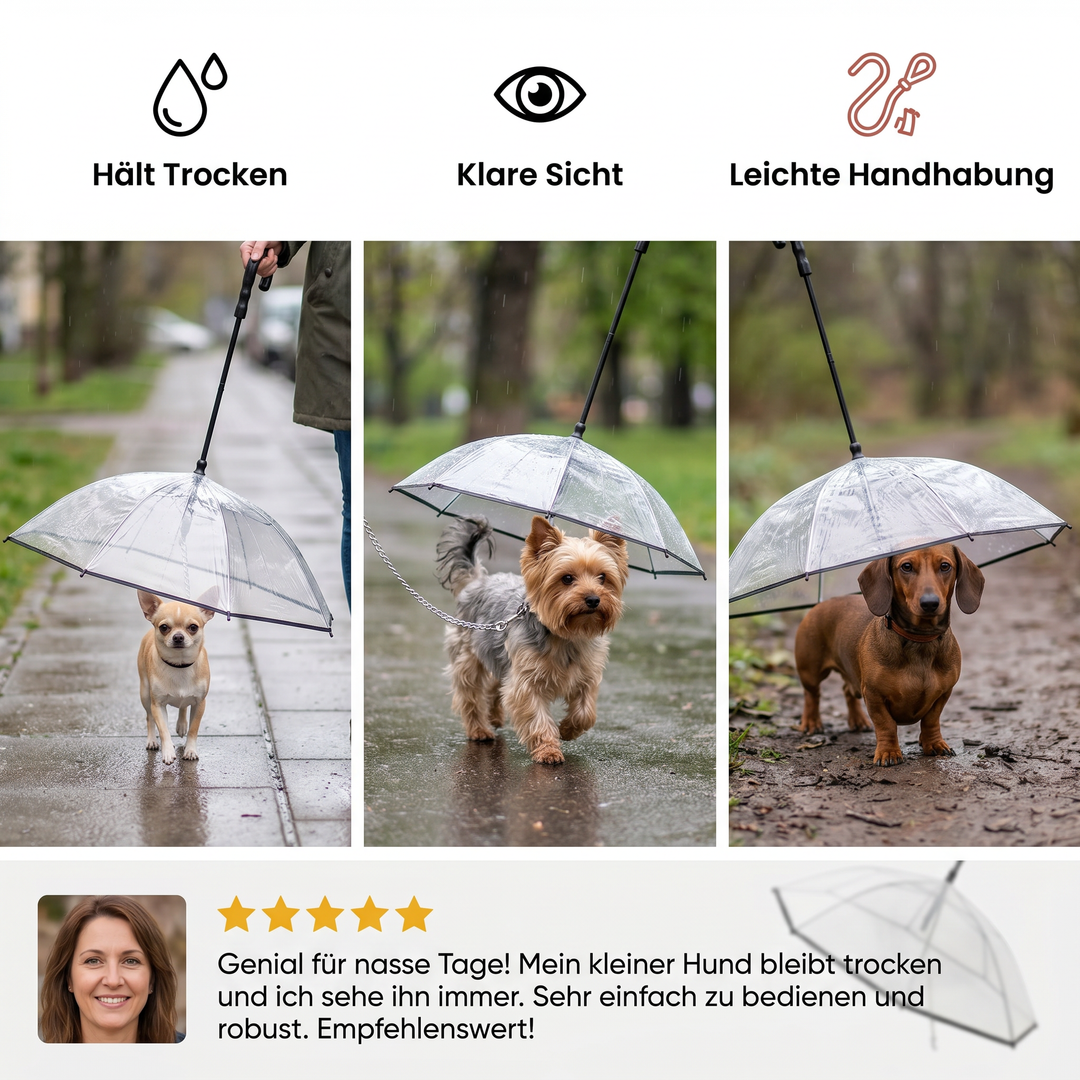 Praktischer transparenter Hunde Regenschirm mit Leine; ideal für kleine Rassen und nasse Spaziergänge im Regen.