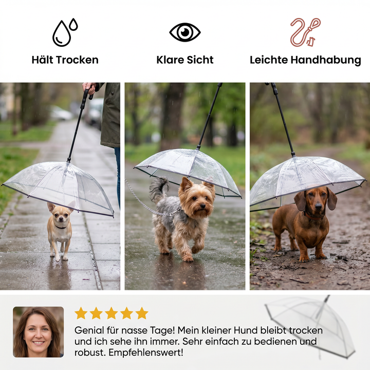 Praktischer transparenter Hunde Regenschirm mit Leine; ideal für kleine Rassen und nasse Spaziergänge im Regen.