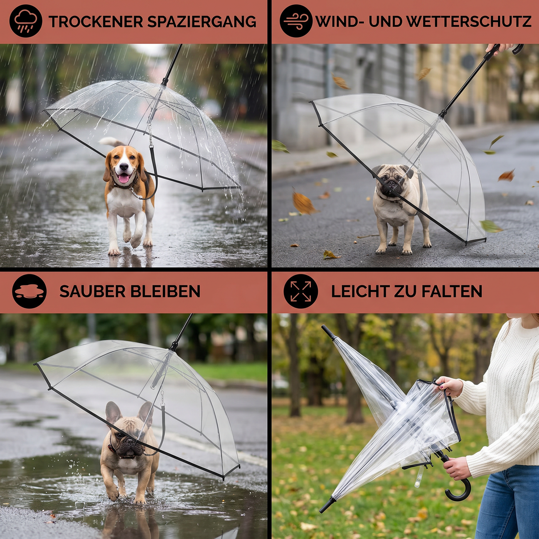 Schutz für kleine Hunde: Transparenter Regenschirm mit integrierter Leine hält Ihren Liebling bei Regen trocken.