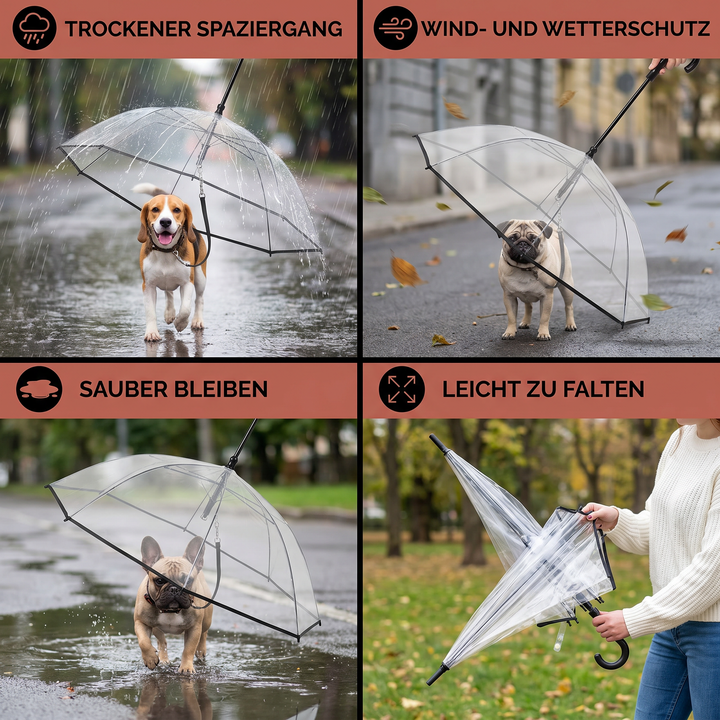 Schutz für kleine Hunde: Transparenter Regenschirm mit integrierter Leine hält Ihren Liebling bei Regen trocken.
