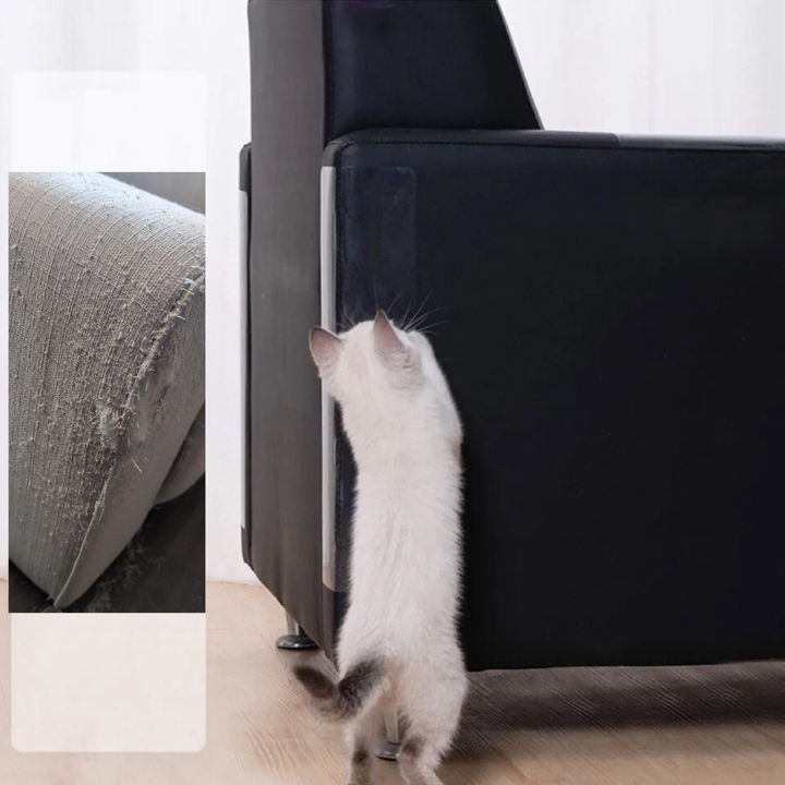 Effektiver Möbelschutz für Katzen: Transparenter Kratzschutz, verhindert unschöne Spuren.