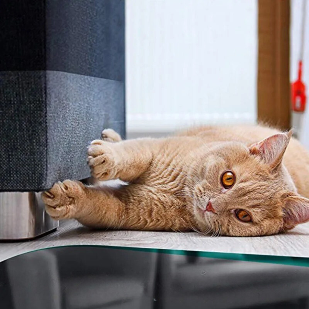 Klarer Möbel-Kratzschutz für Katzen, schützt Polster & Stoffe zuverlässig und diskret.